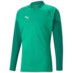 Puma 65798205 Yeşil Teamcup Training 1/4 Zip Top Futbol Uzun Kollu Erkek Antrenman Üstü