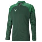 Puma 65798305 Teamcup Training Jacket Yeşil Erkek Ceket