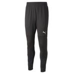 Puma 65836903 Teamcup Training Pants Gri Erkek Futbol Eşofman Altı