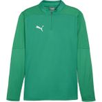 Puma 65855105 Yeşil Teamfinal Training 1/4 Zip Futbol Antrenman Uzun Kollu Erkek T-Shirt