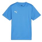 Puma 65863602 Teamgoal Jersey Mavi Erkek Forması