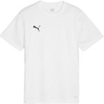 Puma 65863604 Siyah Teamgoal Jersey Futbol Antrenman Erkek T-Shirt