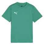 Puma 65863605 Yeşil Teamgoal Jersey Futbol Antrenman Erkek T-Shirt