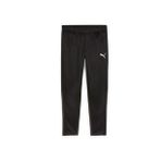 Puma 65863903 Teamgoal Training Pant Siyah Erkek Futbol Antrenman Eşofman Altı