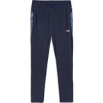 Puma 65917506 Teamcup Training Pants Gri Erkek Eşofman Altı