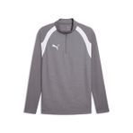 Puma 65967913 Teamfinal26 Training 1/4 Zip Gri Futbol Antrenman Uzun Kollu Erkek T-shirt