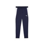 Puma 65968806 Teamfinal26 Training Pants Lacivert Erkek Eşofman Altı