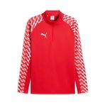 Puma 65972401 Teamliga26 Training 1/4 Zip Kırmızı Futbol Antrenman Uzun Kollu Erkek T-shirt