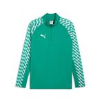 Puma 65972405 Teamliga26 Training 1/4 Zip Yeşil Futbol Antrenman Uzun Kollu Erkek T-shirt