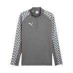 Puma 65972413 Teamliga26 Training 1/4 Zip Gri Futbol Antrenman Uzun Kollu Erkek T-shirt
