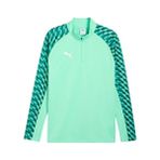 Puma 65972480 Teamliga26 Training 1/4 Zip Yeşil Futbol Antrenman Uzun Kollu Erkek T-shirt