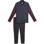 Puma 660576-01 Individuallıga Tracksuit Erkek Günlük Eşofman Takımı - Gri
