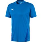 Puma 70417102 Teamgoal 23 Jersey Mavi Erkek Forması