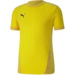 Puma 70417107 Team Goal 23 Erkek Çok Renkli Futbol Tişört