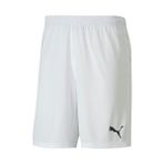 Puma 70426204 Team Goal 23 Erkek Çok Renkli Futbol Şort