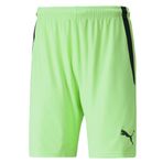 Puma 70492420 Teamliga Shorts Yeşil Erkek Futbol Şortu