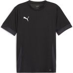 Puma 70574703 Siyah Teamgoal Matchday Jersey Futbol Antrenman Erkek T-Shirt