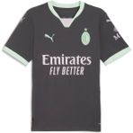 Puma Ac Milan 24/25 Erkek 3. Deplasman Forması - Gri