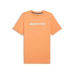 Puma Amg Logo Tee Erkek T-shirt-pudra