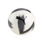 Puma CAGE ball Futbol Topu