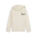 PUMA Erkek Çocuk SUPER PUMA Hoodie Sweatshirt Alpine Snow 3-4 YAŞ