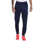 PUMA Erkek e?ofman alt? Teamrise Poly Training Pants, L