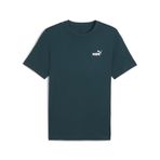 PUMA Erkek GRAPHIC Tee T-shirt Green Terrain S