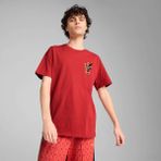 Puma Erkek Kırmızı Puma Wardrobe Ess Graphic Tee Kırmızı Erkek T-Shirt