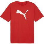Puma Erkek Kırmızı Teamrise Logo Jersey Tişört Nefes Alabilir Kumaş ile Günlük Kullanım İçin