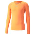 PUMA Erkek, Liga Baselayer Tee LS tişört