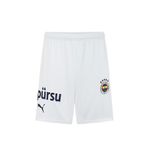 Puma Erkek Mavi Forma S Beden FSK Shorts Replica Modeli