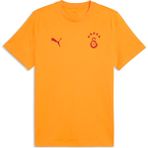 Puma Erkek Sarı Puma Gsk Ftbless Tee Galatasaray Ftblessentıals Erkek Tişört - XL