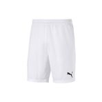 Puma Erkek Şort 70426204