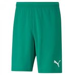 PUMA Erkek Şortu,