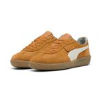 PUMA Erkek Spor Ayakkabı, 25 İlkbahar Yaz Rengi Koyu Haşhaş/Sıcak Beyaz (02), 25.5 cm
