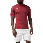 PUMA Erkek Teamgoal 23 jarse forma, Cordovan-Chili Pepper, M
