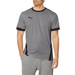 PUMA Erkek, Teamgoal 23 jarse forma