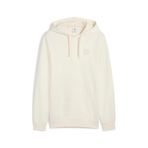 Puma Essentıals Elevated Erkek Kapüşonlu Sweatshırt 690900 99 Çeşitli Renkler Çok Renkli