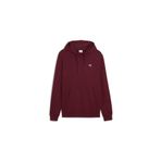 Puma ESSENTIALS ELEVATED Hoodie Erkek Sweatshirt