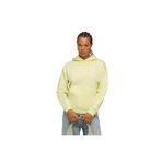 Puma ESSENTIALS Small No. 1 Logo Hoodie Kadın Sweatshirt