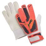 PUMA evopower Grip 4 Goalkeeper Glove