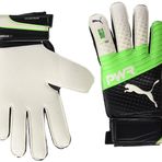Puma Evopower Protect 3.3 Kaleci Eldiveni