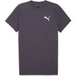 Puma Evostrıpe Erkek Tişört - Fizzy Lime Heather