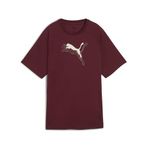 Puma Evostrıpe Graphic Tee Kadın Yetişkin T-Shirt, Bordo, Xs