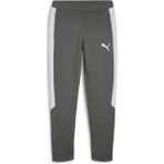 Puma Evostripe Pants Dk Erkek Eşofman Altı - Gri - XL
