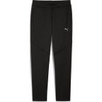 Puma Evostrıpe Warm Pants Erkek Yetişkin Eşofman Altı - Siyah