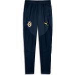 Puma Fenerbahçe S.k. Genç Antrenman Eşofman Altı - 7 - 8 Yaş - 16-Lacivert