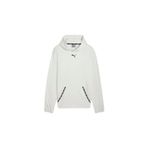 Puma Fıt Pwrfleece Hoodie Erkek Gri Sweatshirt