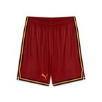 PUMA Galatasaray Alternatif Basketbol Şortu, XXL