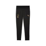 PUMA GALATASARAY Erkek Antrenman Eşofman Altı, PUMA Black, XL